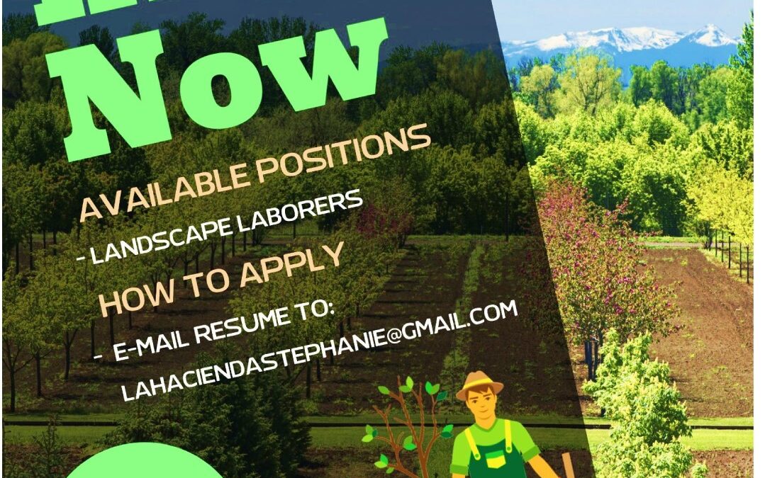 Opportunities with Hacienda